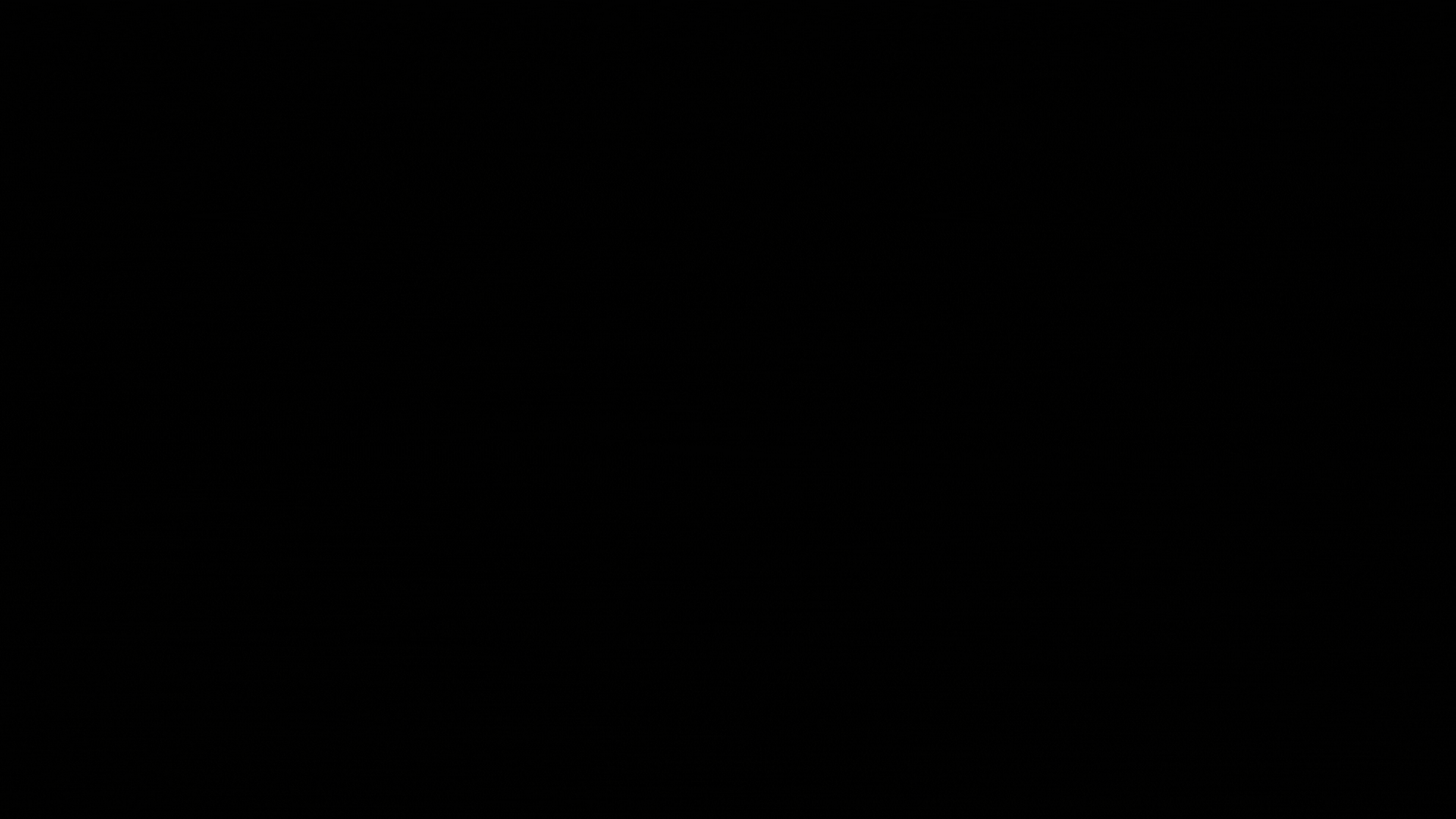 un-tamed agency color design for client