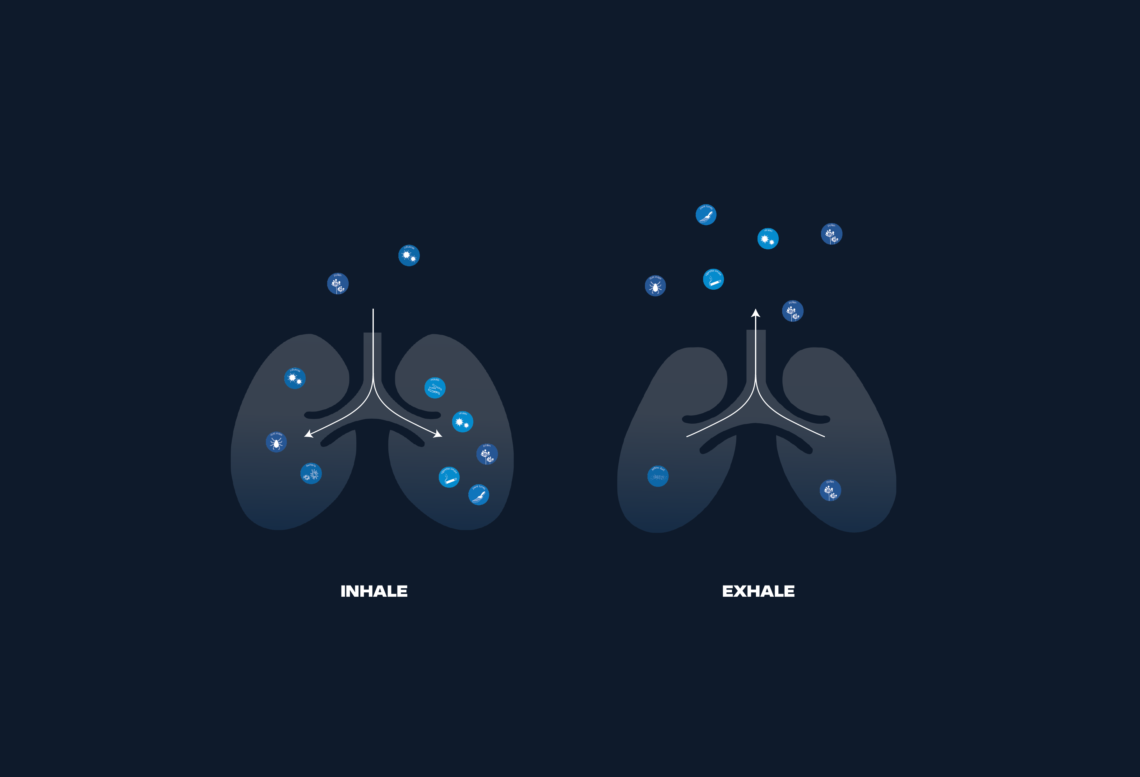 un-tamed agency logo design voor client