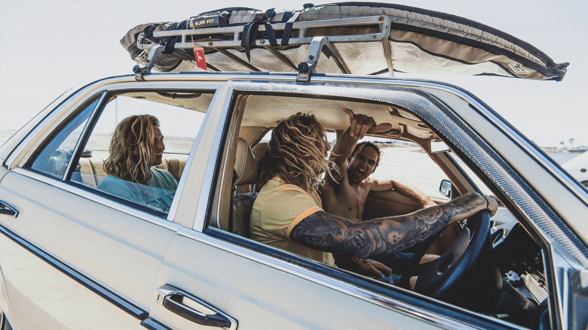 un-tamed agency color design for client