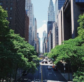 New York scenic image