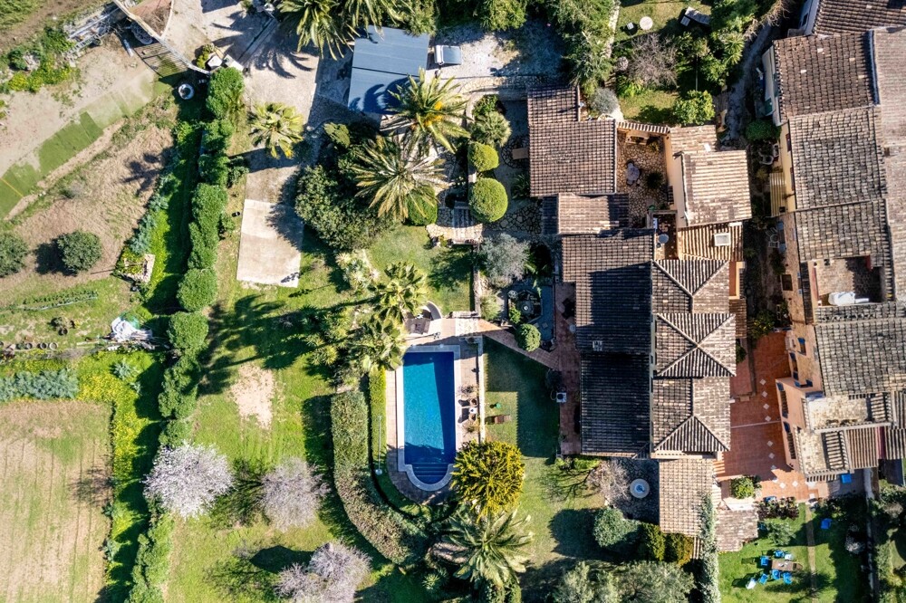 Carrer de s'estanyera_Lietz Mallorca x soko Studio-WEB (23 de 24).jpg