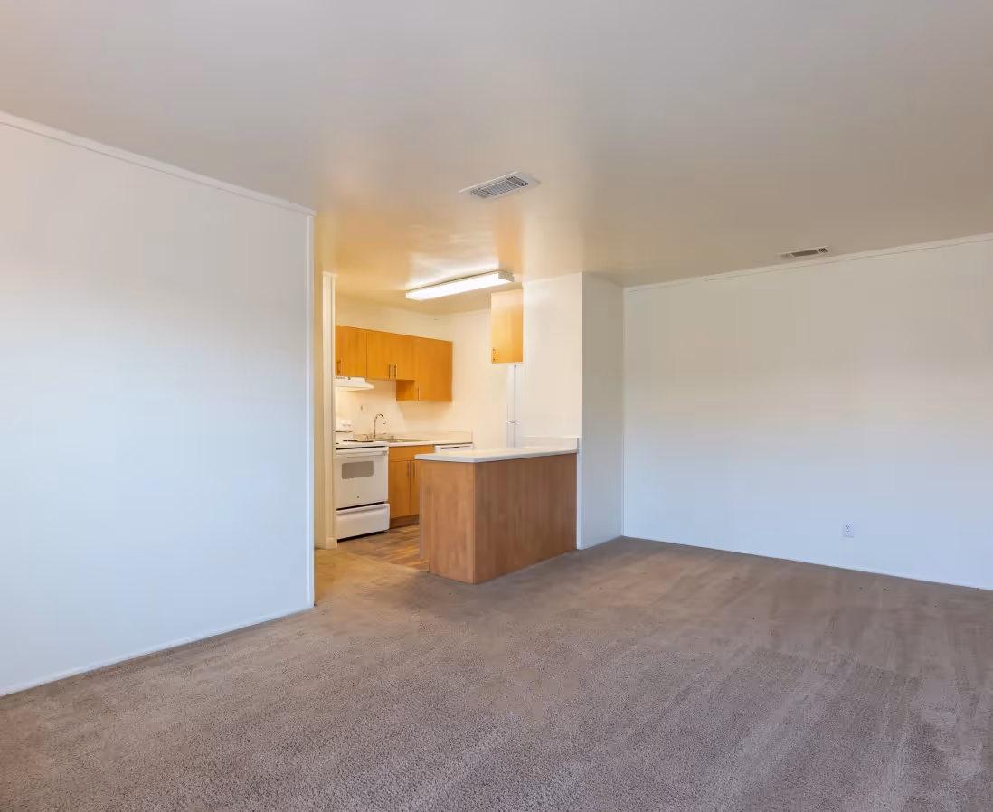 Empty apartment with carpet