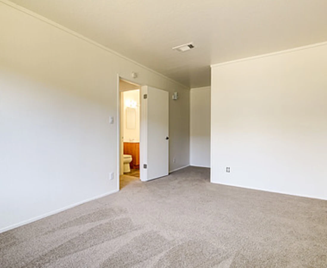 Empty apartment with carpet