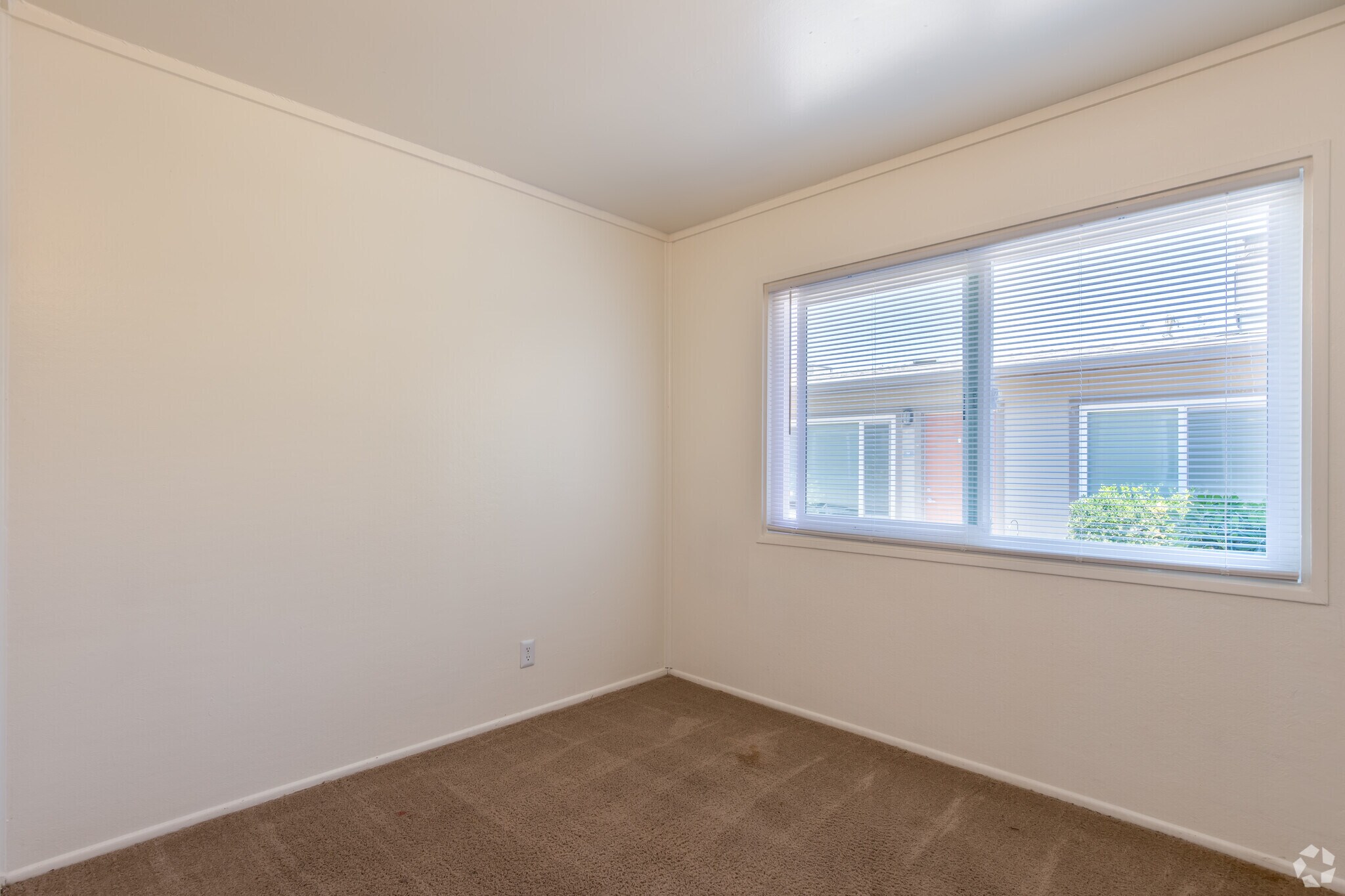 Empty bedroom with carpet
