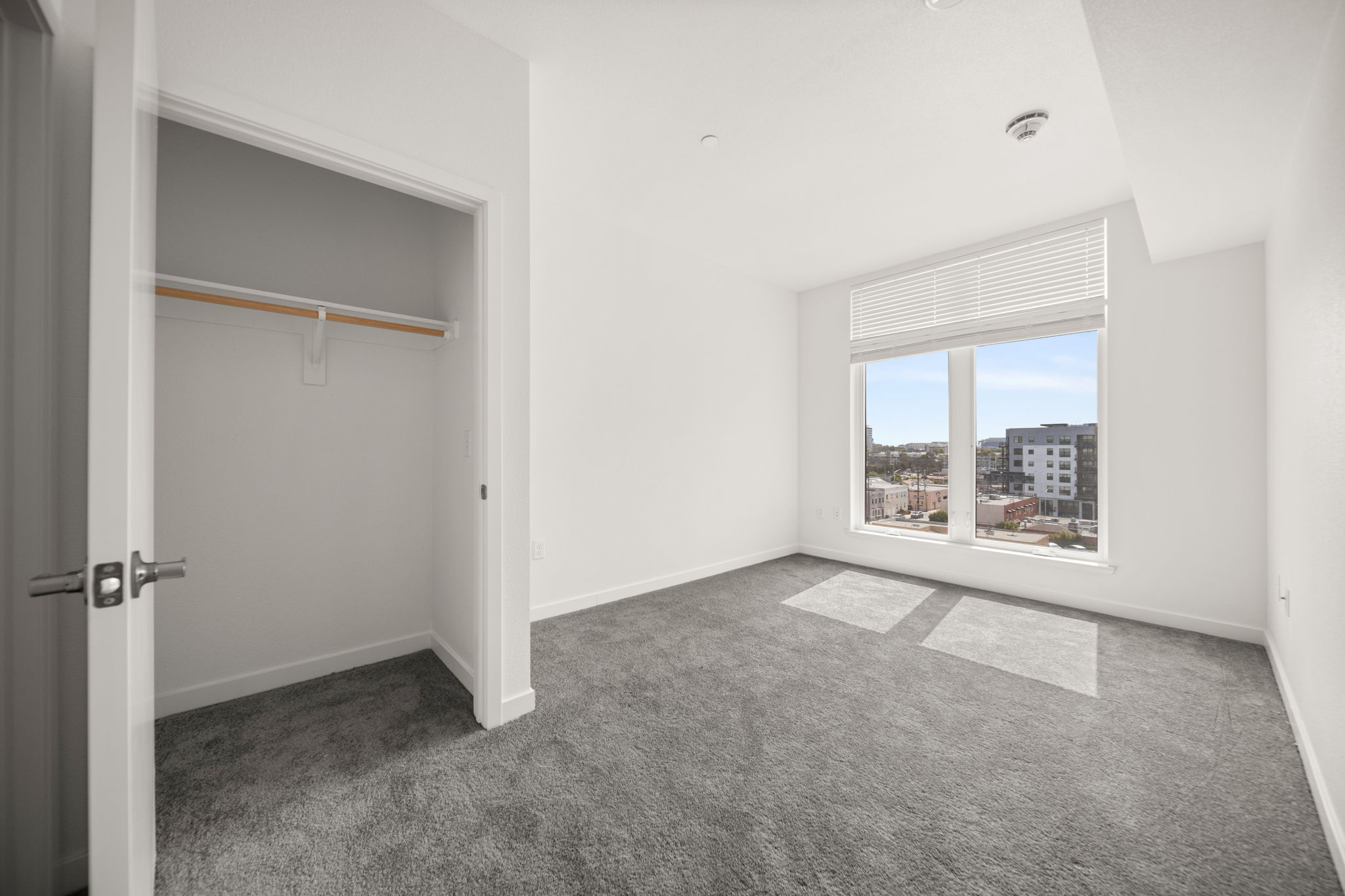 Unfurnished Bedroom with closet, carpet, and large window