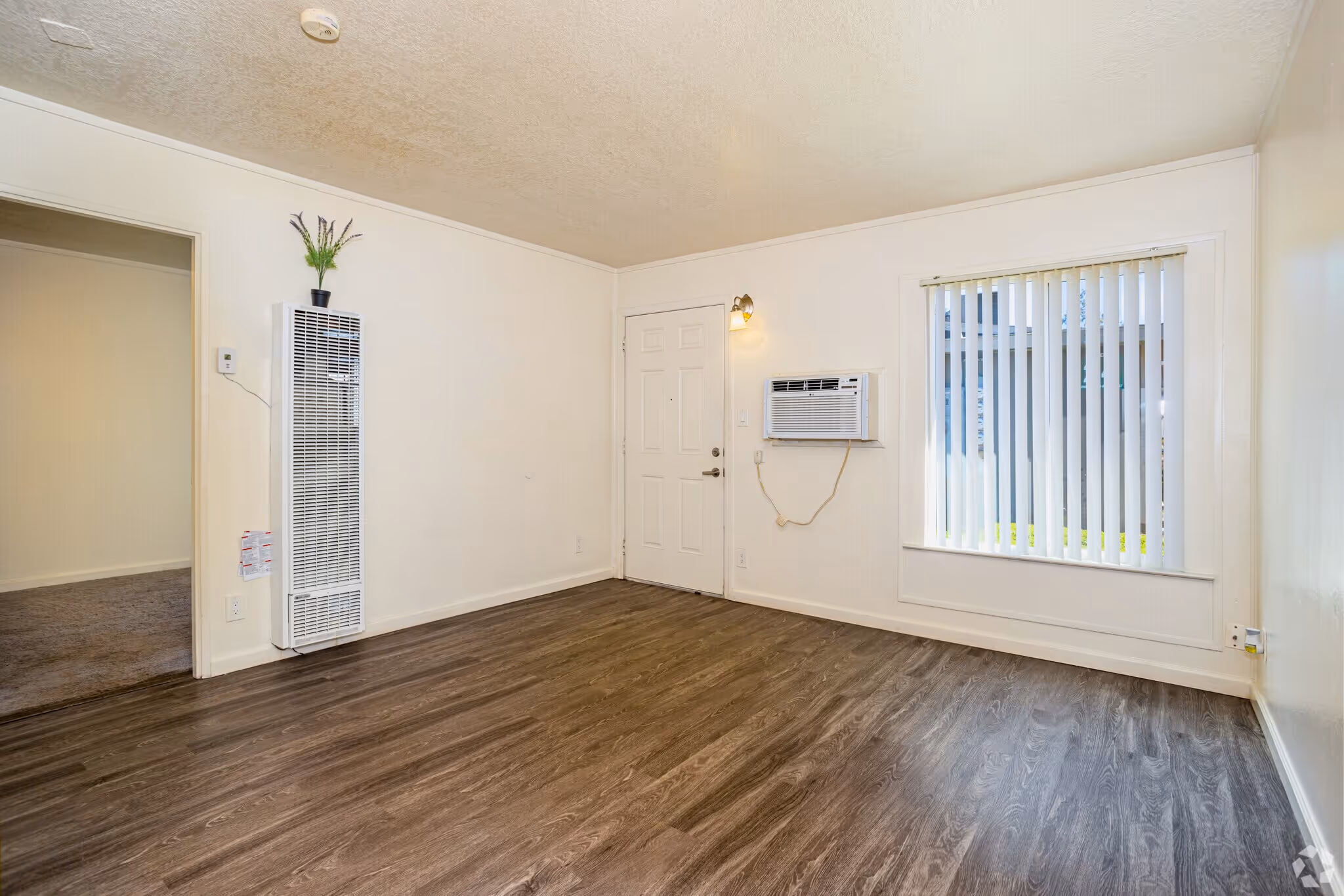 Empty living room with window