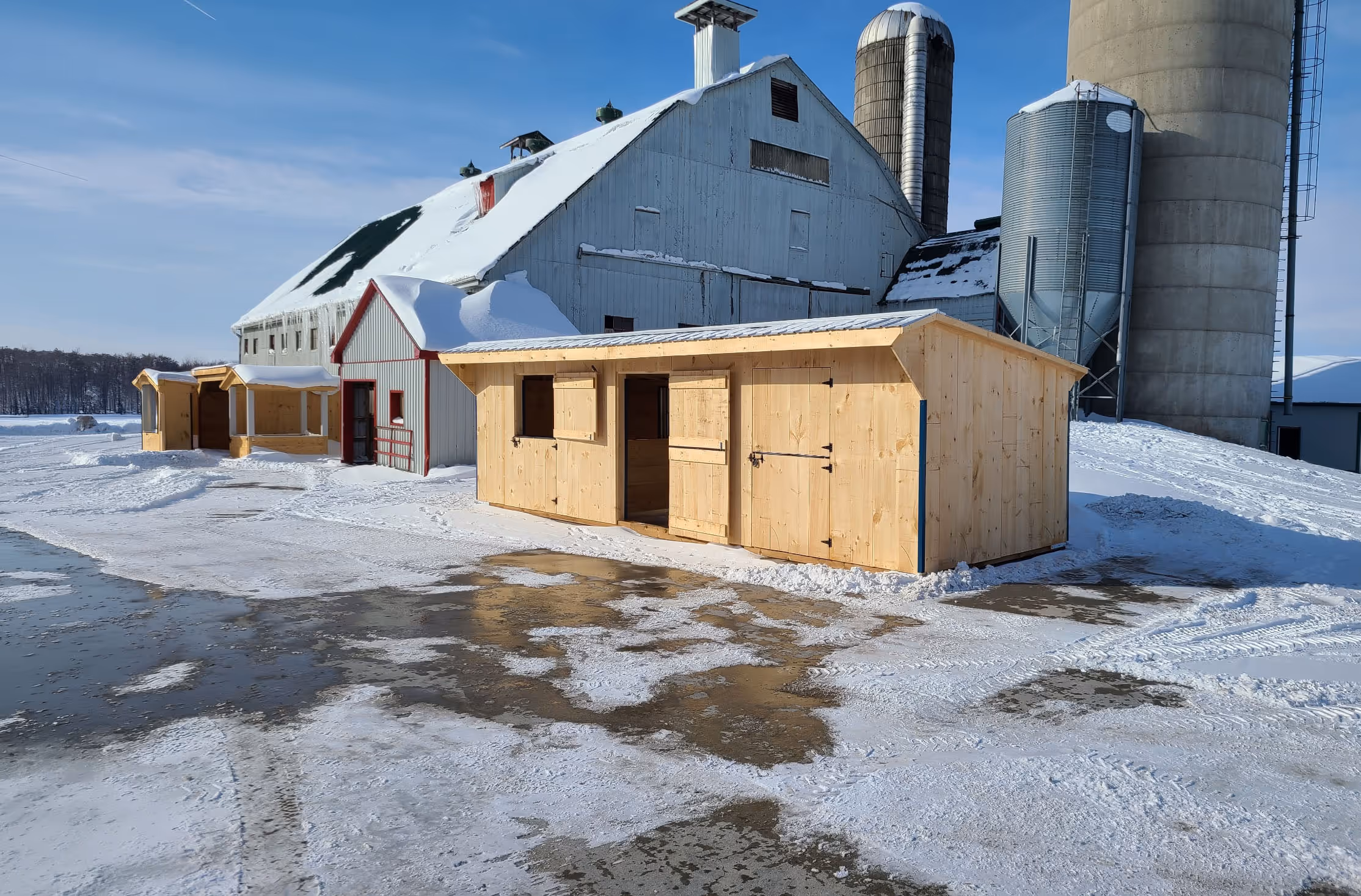 Snowy farmyard with a large barn, silos, and new wooden animal shelters on a clear day.