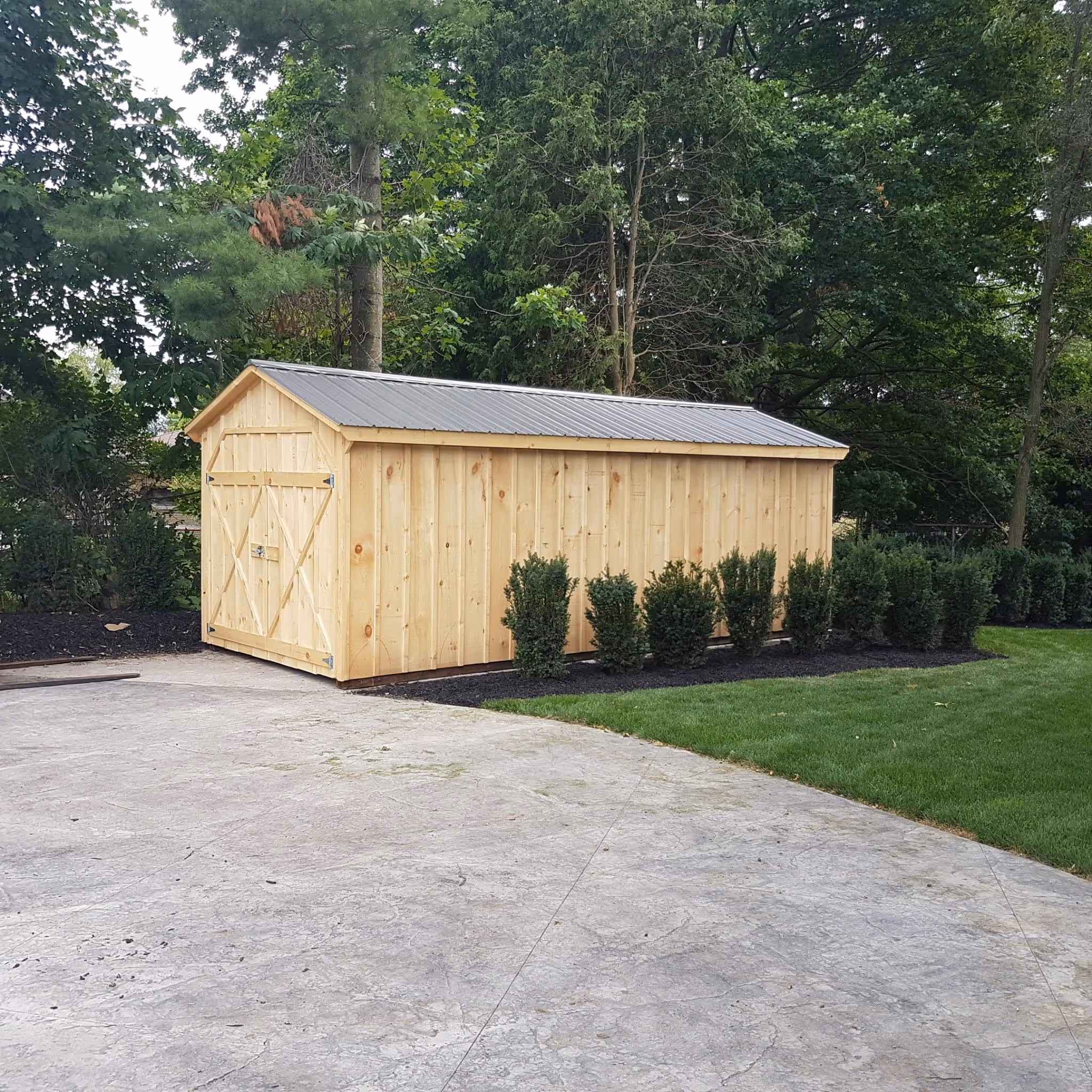 A light wood shed with a metal roof next to a concrete driveway and landscaped bushes in a backyard.