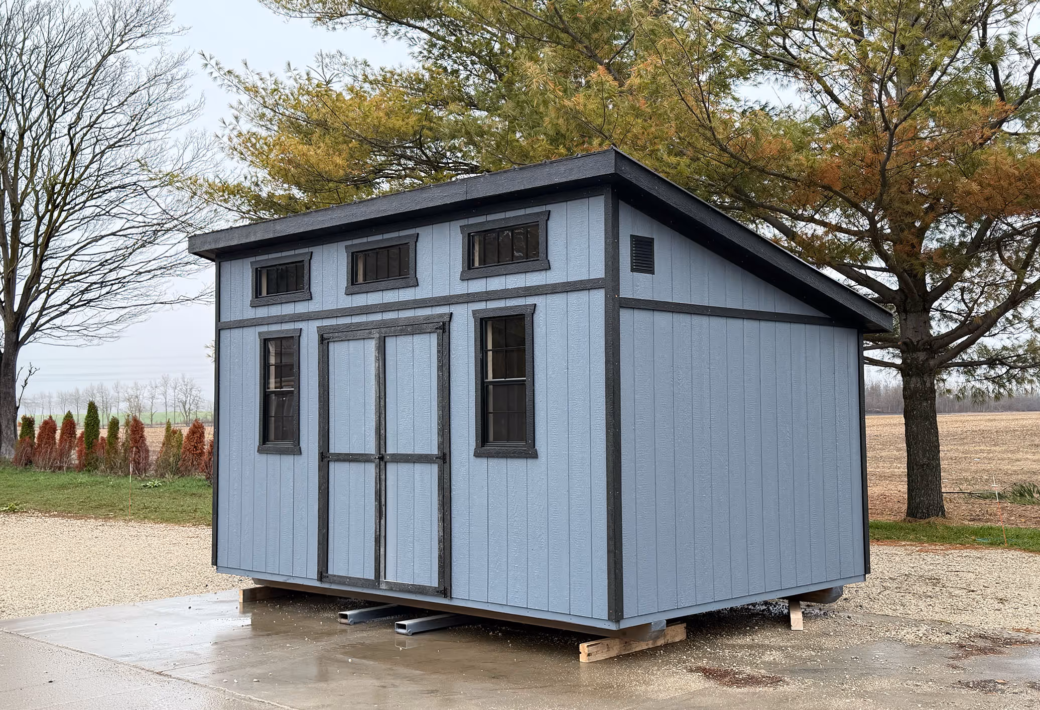 Blue wooden storage shed with black trim and multiple windows on a concrete slab outdoors.
