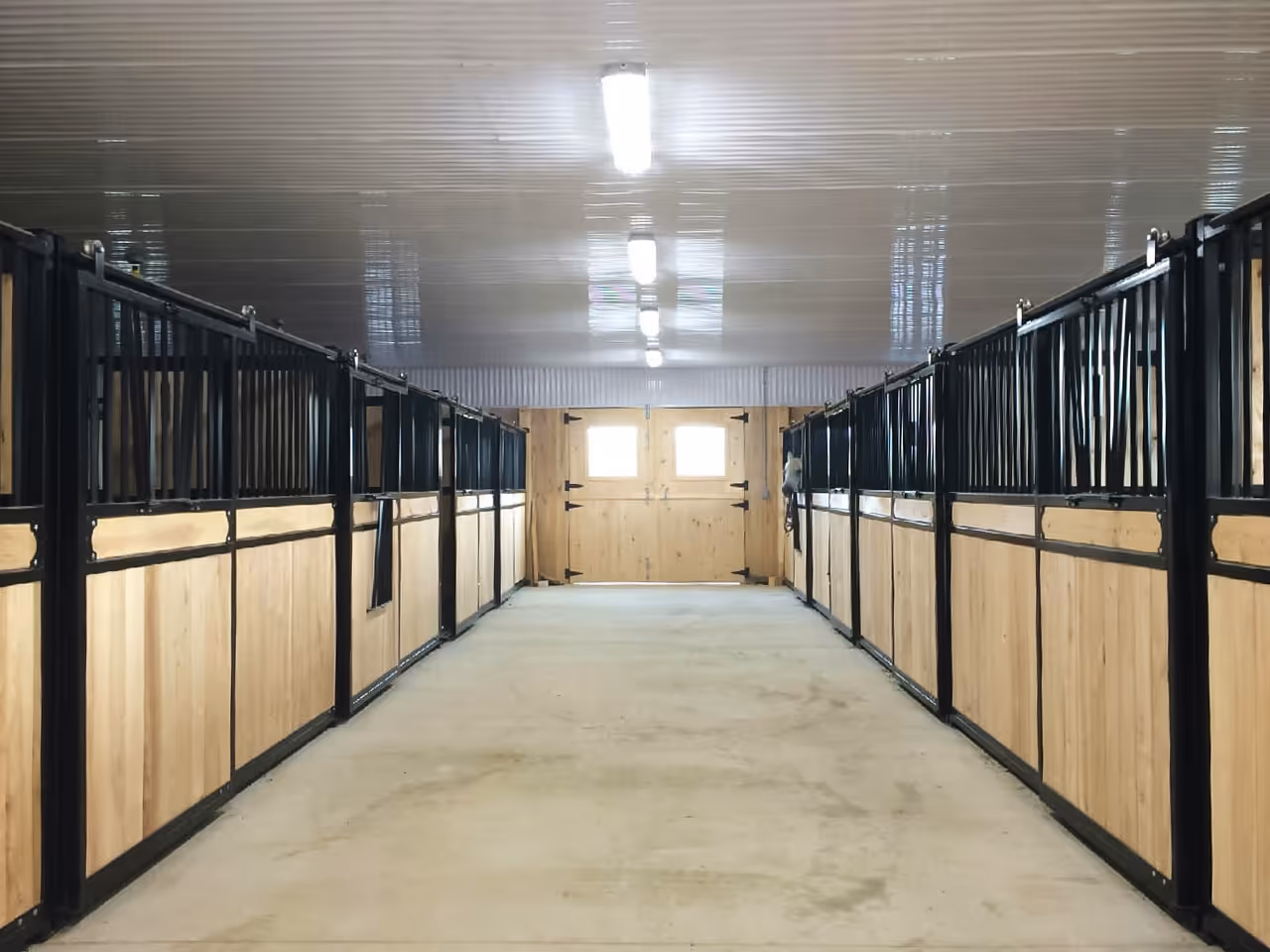 Interior of a modern horse stable with wooden stalls and metal bars on both sides of a concrete aisle.