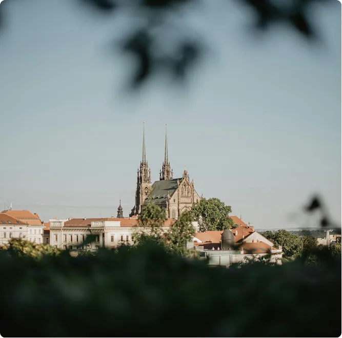 Katedrála s dvěma věžemi mezi budovami a stromy za slunečného dne.