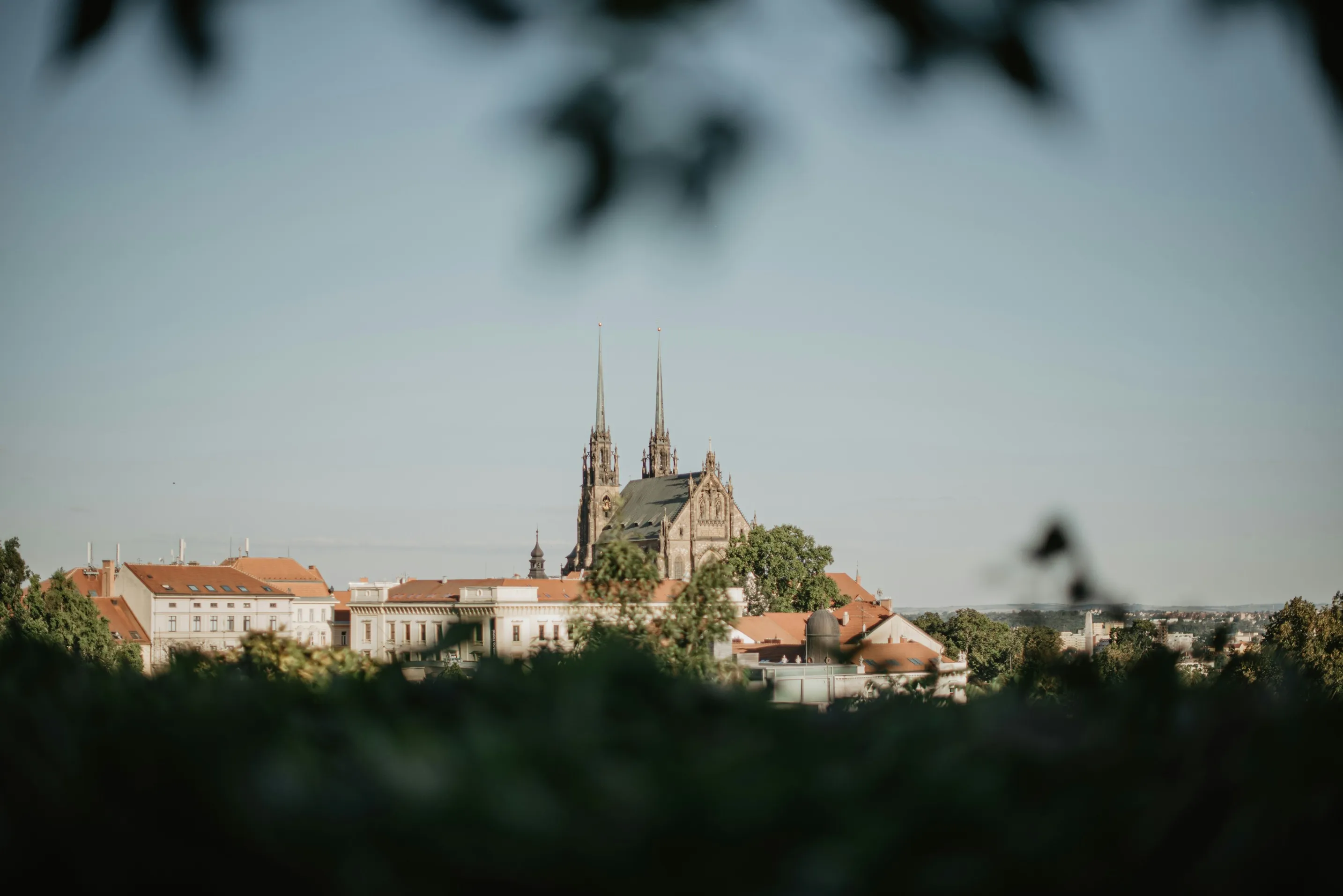 Pohled na historickou katedrálu se dvěma věžemi za stromy a budovami pod modrou oblohou.