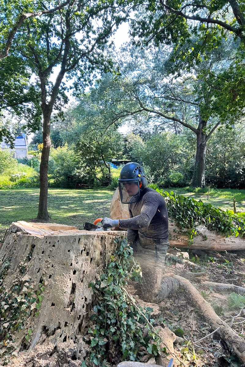 Un homme portant un casque de protection découpe un tronc d'arbre avec une tronçonneuse dans un parc.