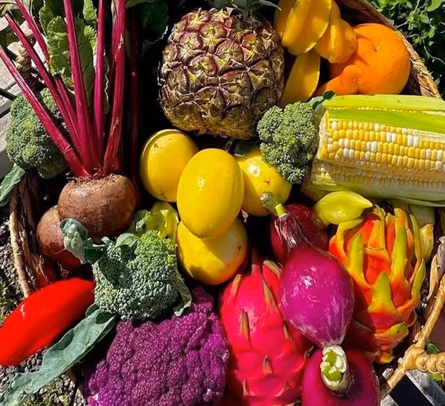 Basket filled with a variety of colorful tropical fruits and vegetables including pineapple, dragon fruit, corn, broccoli, purple cauliflower, beets, and yellow squash.