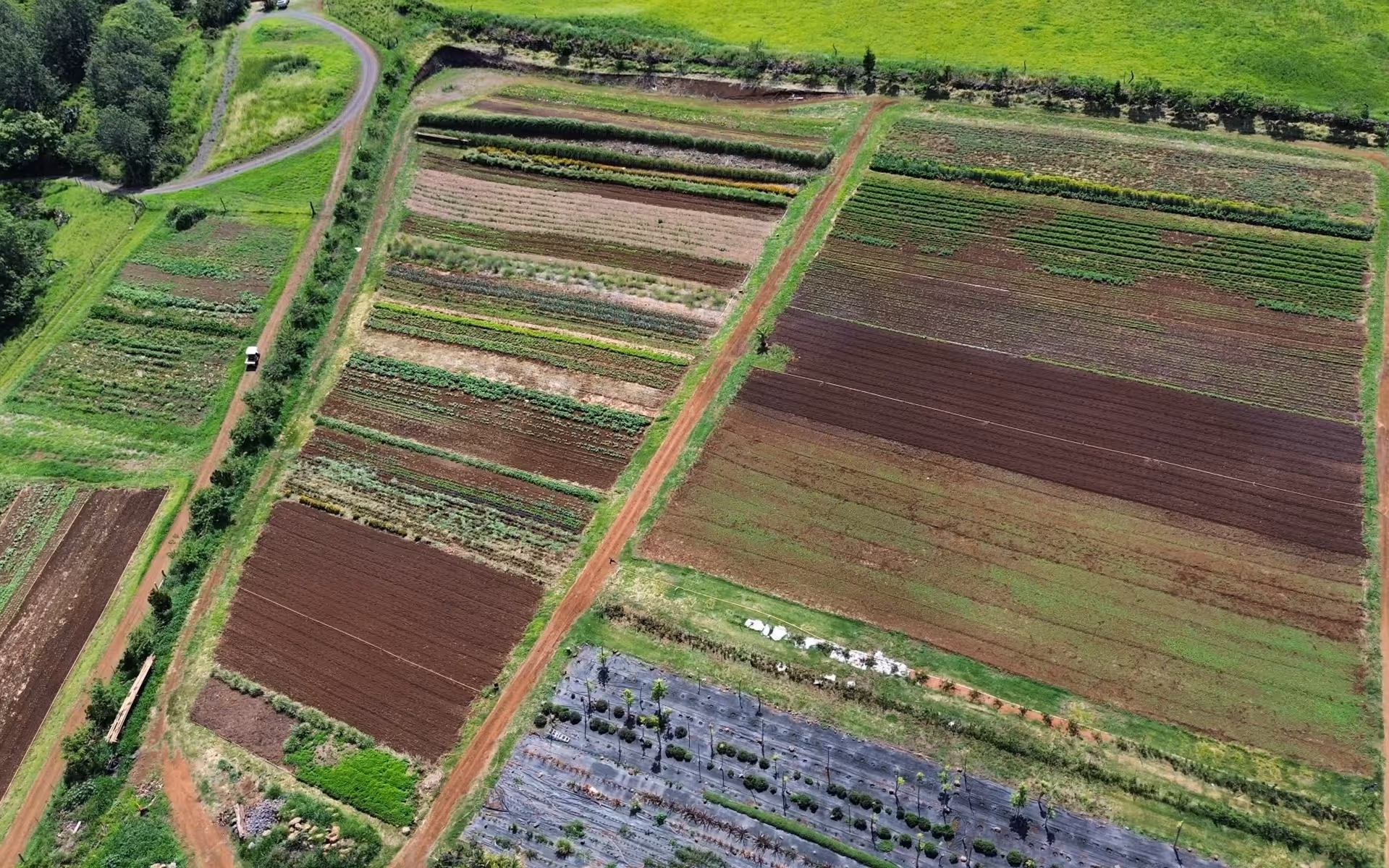 Aerial view of a farmland with multiple plots showing various crops grown in neat rows and dirt paths dividing the fields.