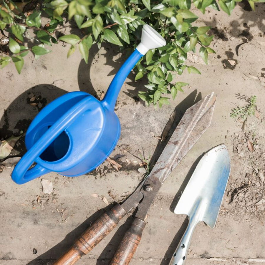 Blue plastic watering can, rusty gardening shears with wooden handles, and a metal hand trowel on soil with green leaves nearby.