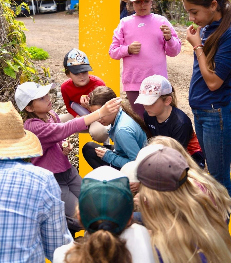 Group of children outdoors examining and tasting small berries while an adult observes in the background.