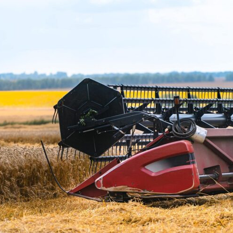 Close-up of a red combine harvester cutting ripe wheat in a golden field.