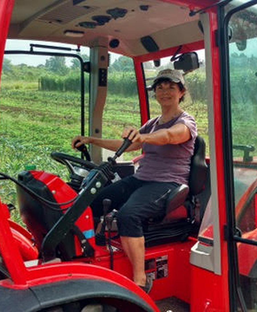 Person wearing a cap operating a red tractor in a green field.