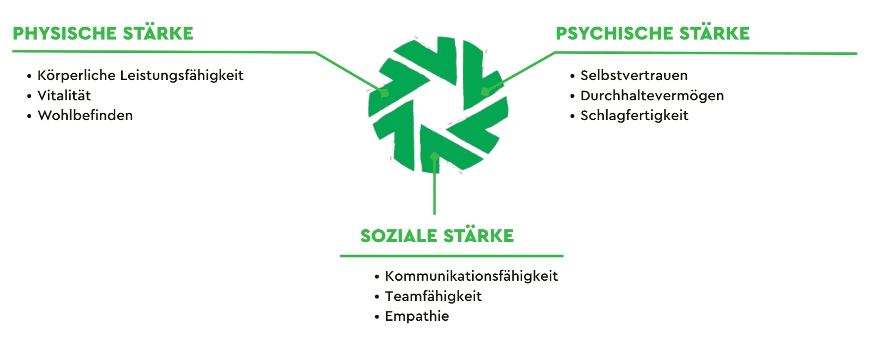 Handlungsfelder der betrieblichen Gesundheitsförderung