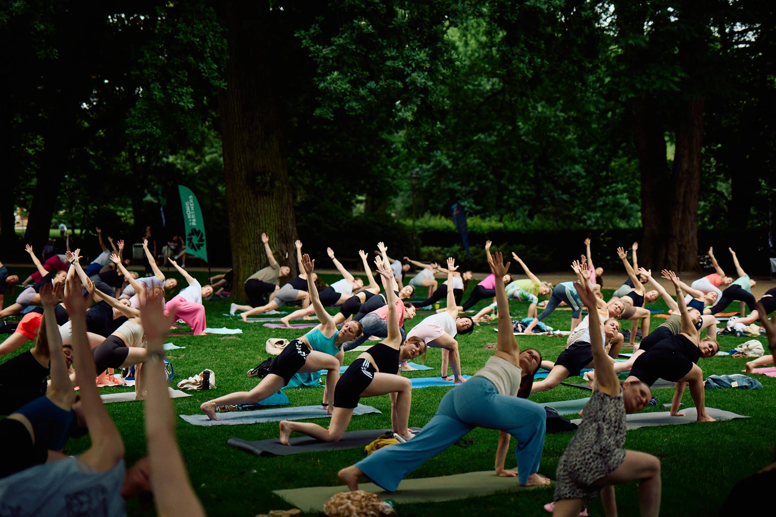 Viele Menschen , die gemeinsam Yoga-Übungen auf einer Wiese ausführen