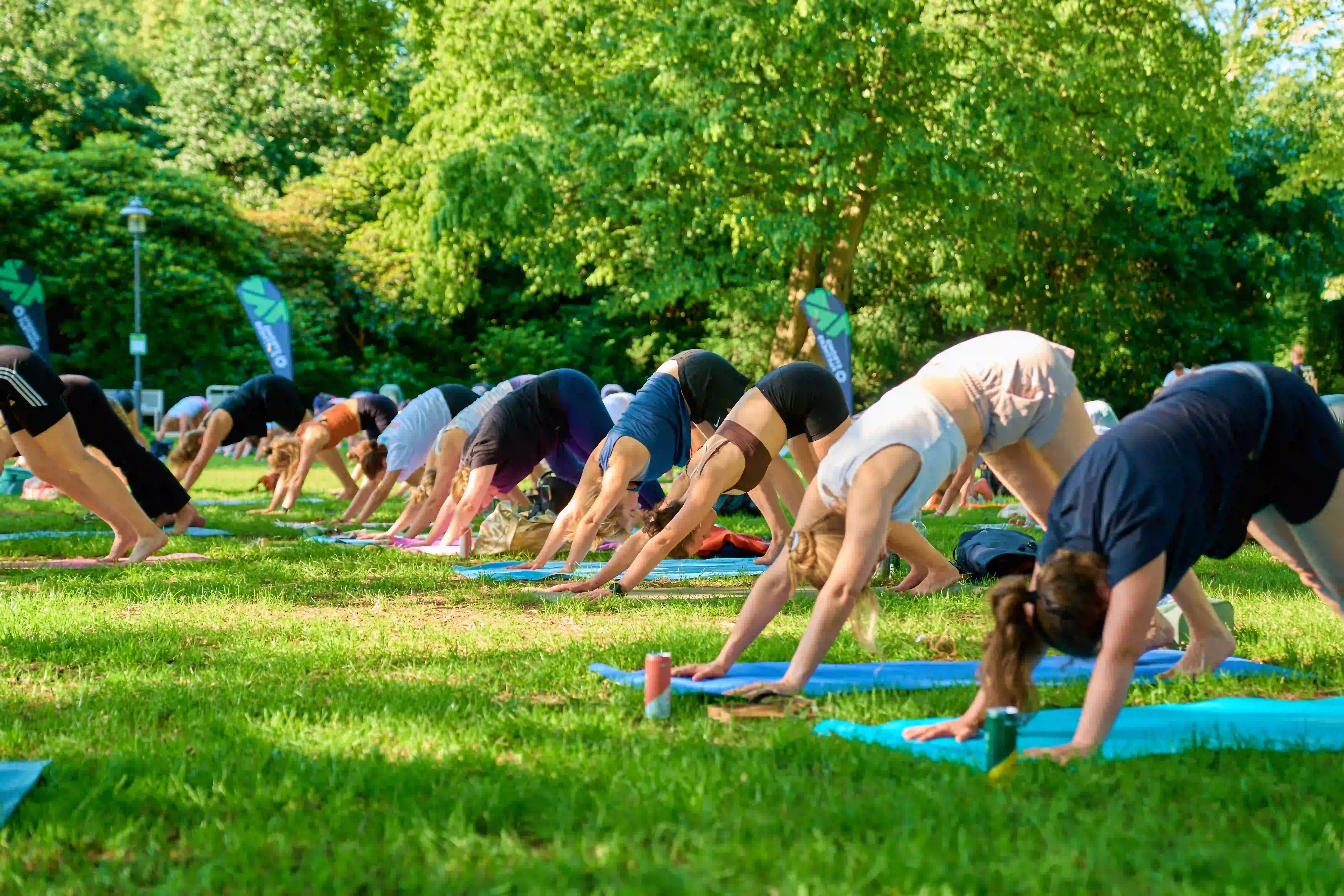 Yoga-Kurs auf einer grünen Wiese