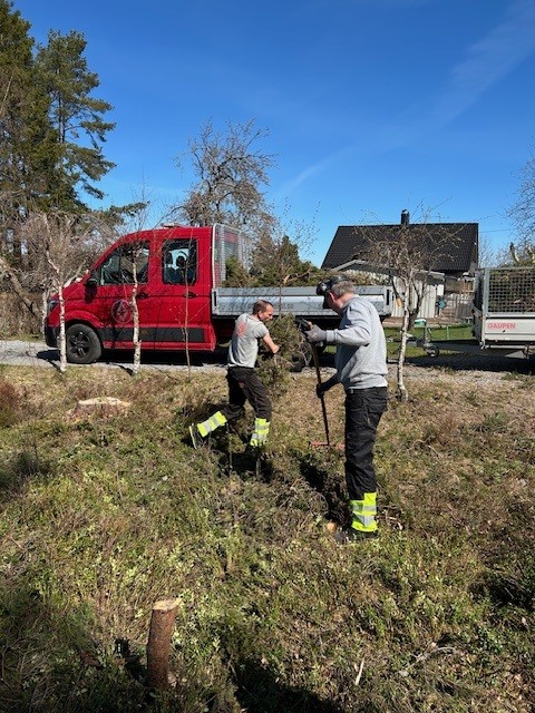 To mennens arbeider med å grave i en grøft på et gresskledd felt med trær under en klar blå himmel, og en rød varebil står i bakgrunnen ved en bolig.