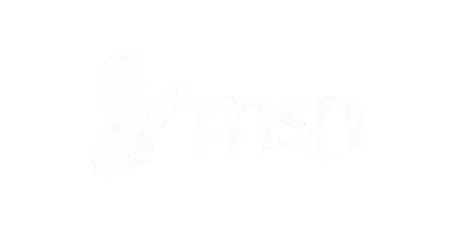 msn logo
