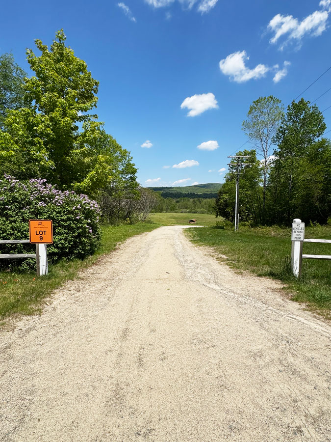 Gravel road to festival parking Lot 9, lined with trees under a blue sky
