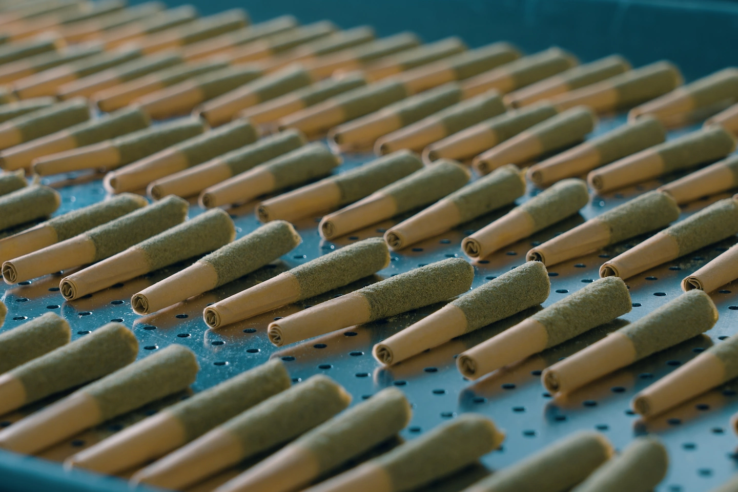 Kief Coating on Pre-Rolls