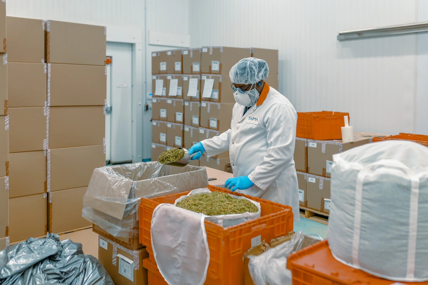 Taima Extracts Technician Scooping Kief 