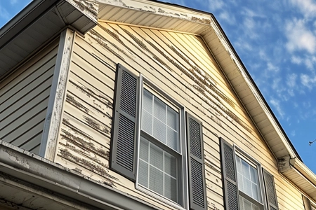 Professional roof shingle repair in Kempsville, Virginia Beach