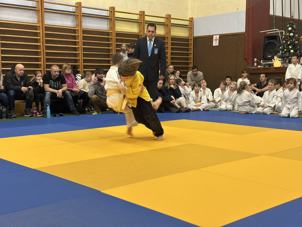 Judo als Breitensport