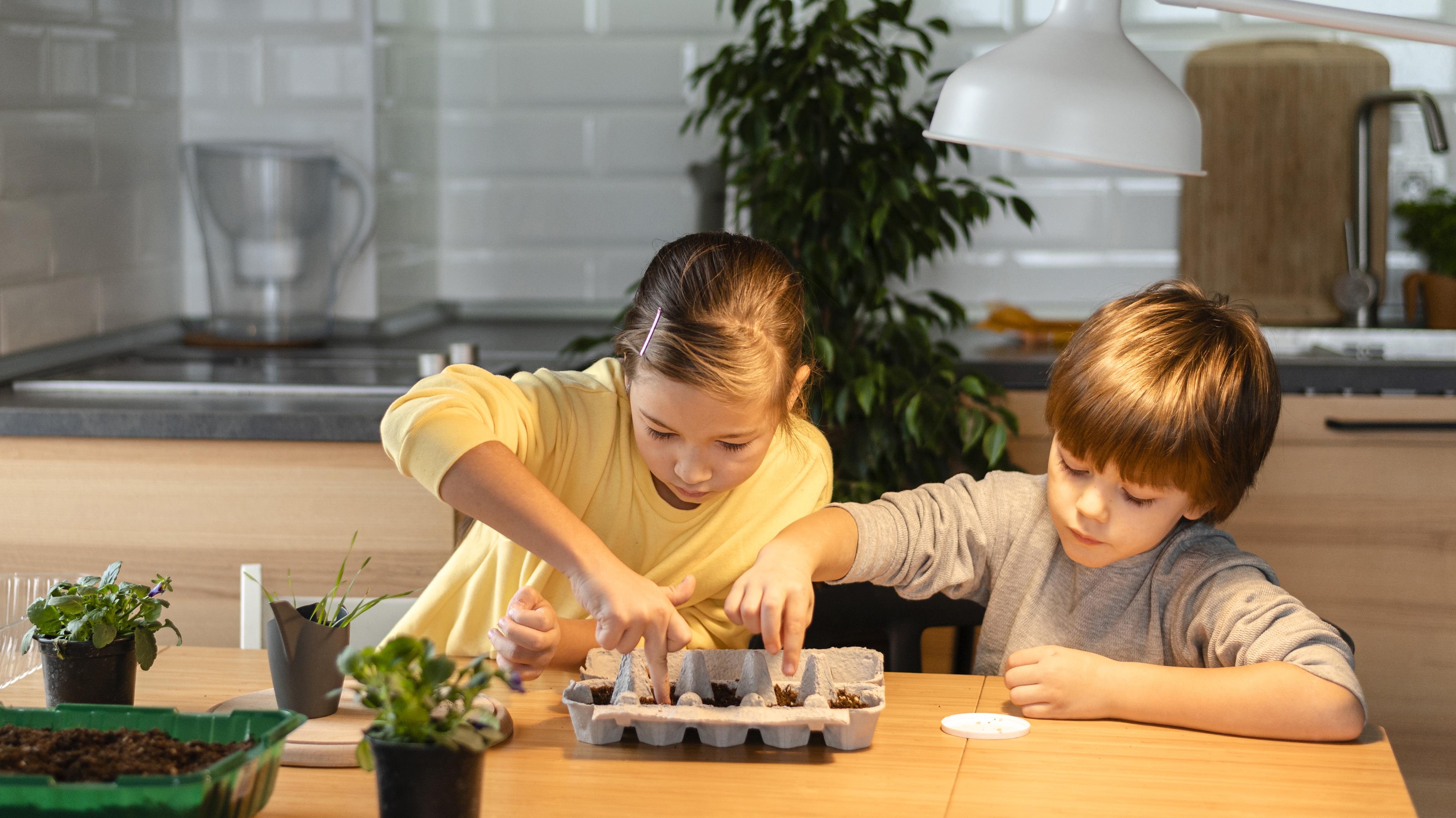 Montessori vs. Traditional Preschool: What’s the Difference? | Norwood Academy