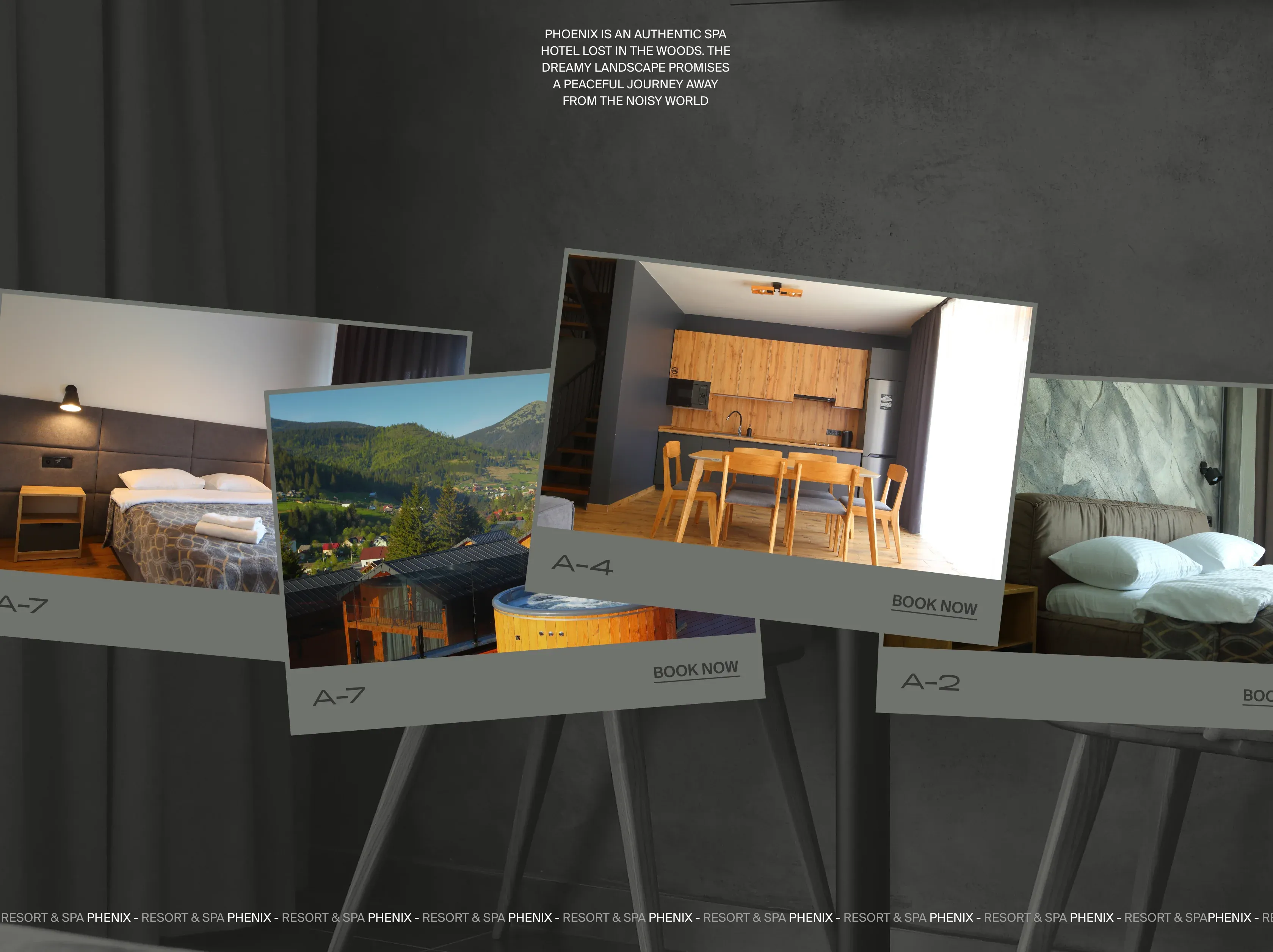 Phoenix Relax Park project visualization