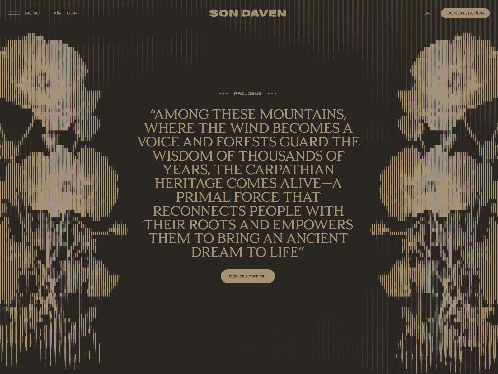 Son Daven project visualization