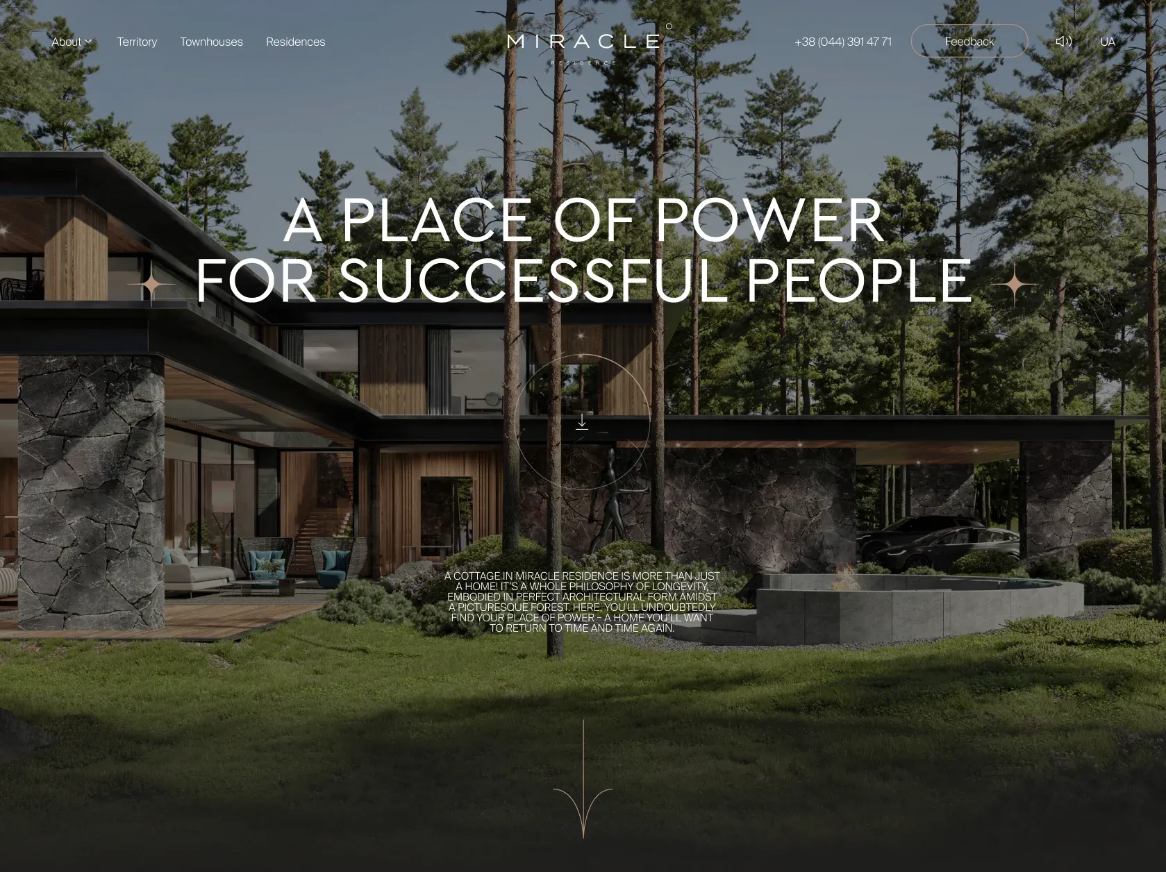 Miracle project visualization