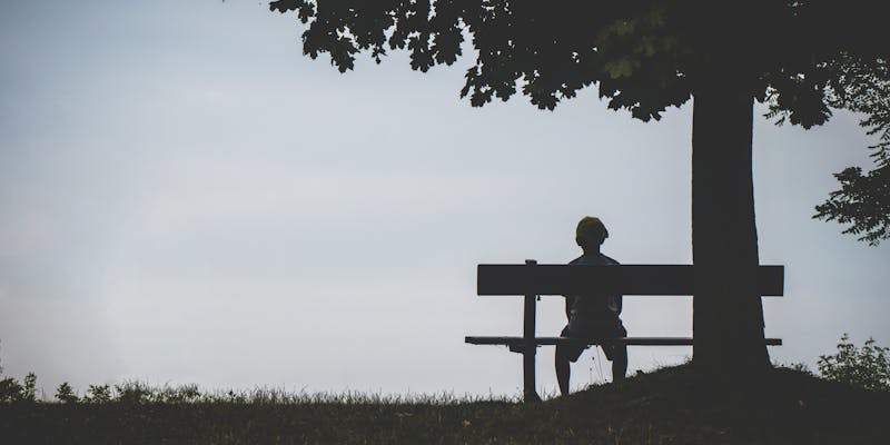 Person sitting on bench under tree