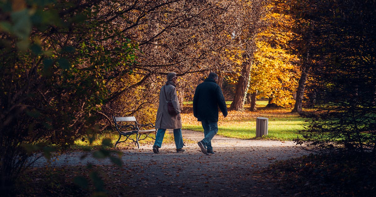 A senior couple enjoys a peaceful walk through a tree-lined path in an autumn park