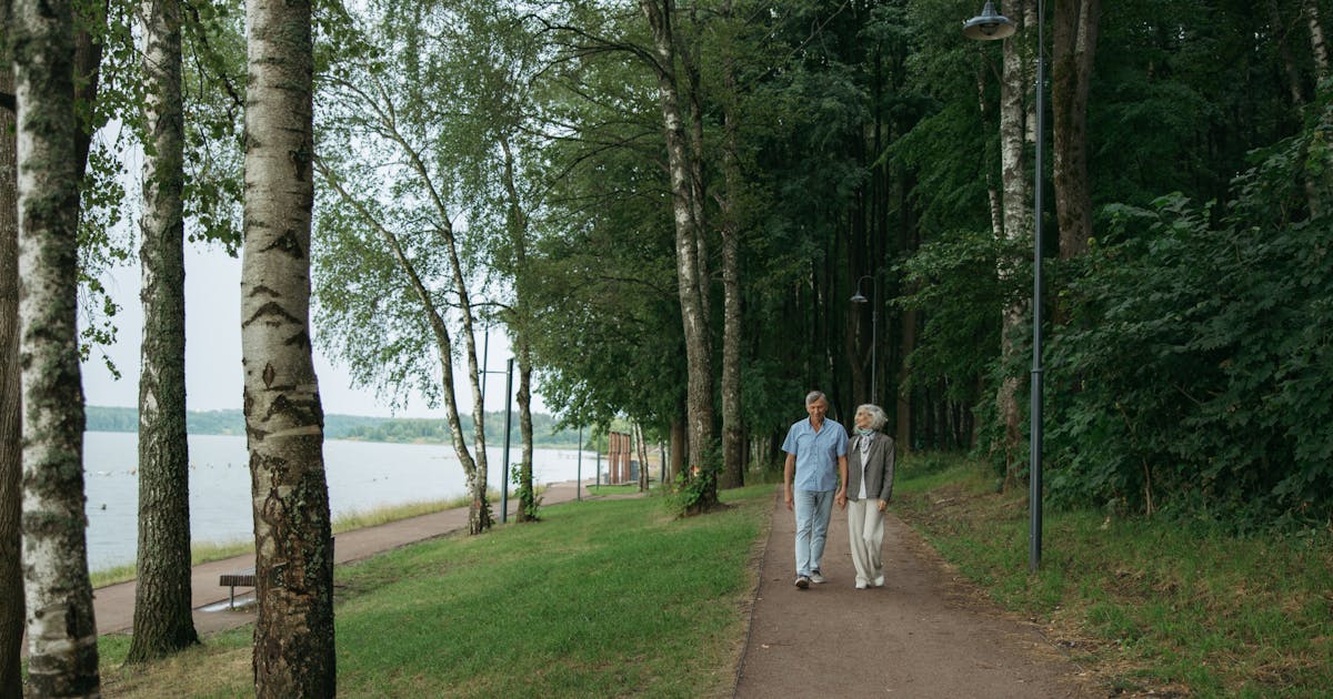 A senior couple enjoys a peaceful walk along a tree-lined path in a serene park setting