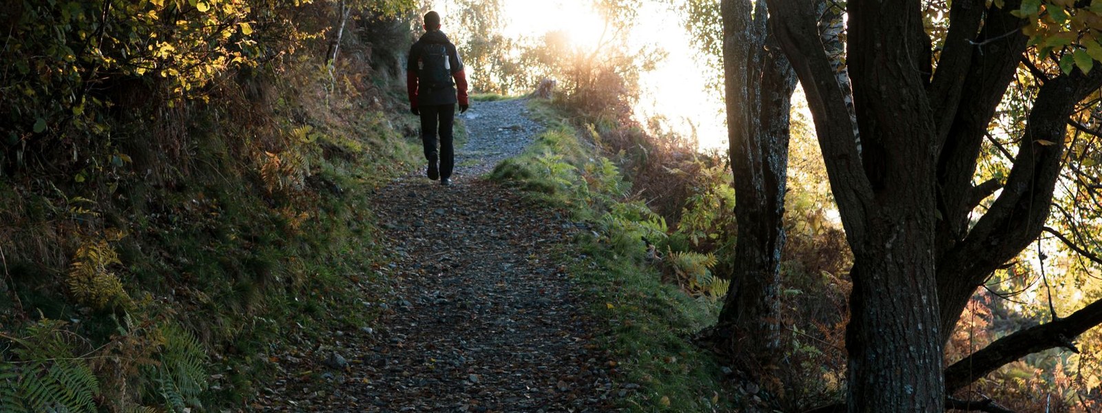 A person walking a woodland footpath in early morning light