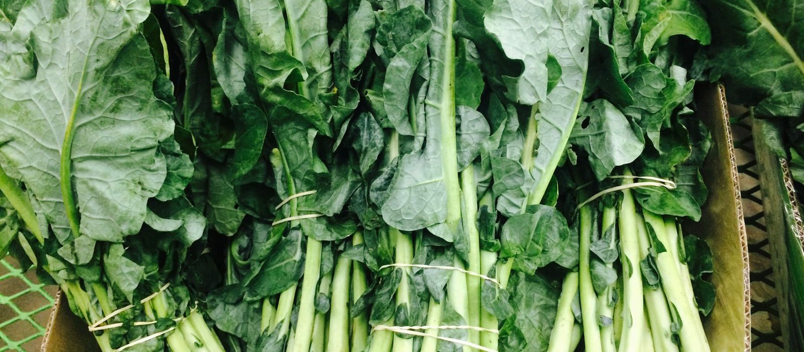 Bundles of dark leafy greens, kale and spinach, packed side by side in a market crate