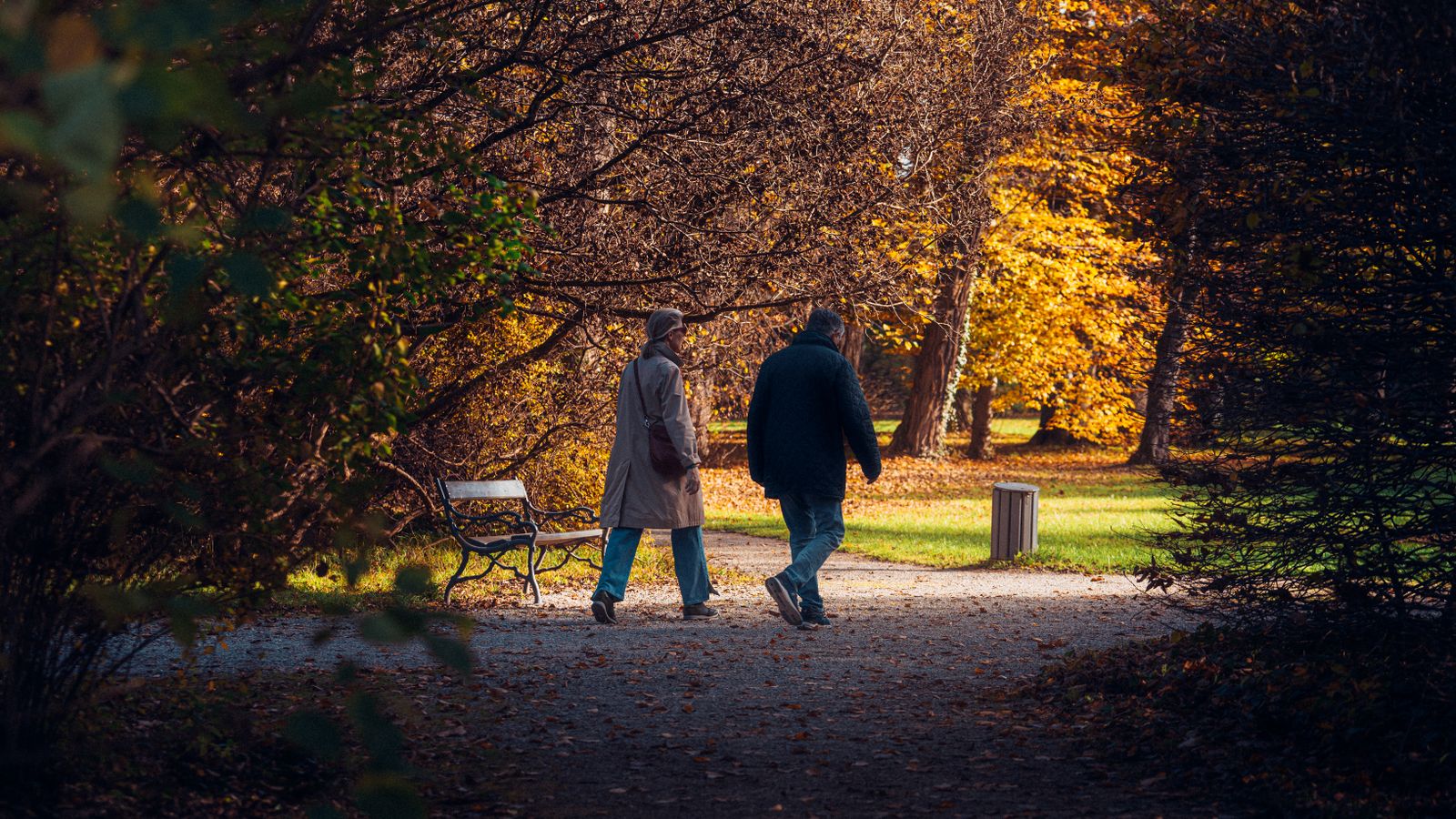 An older couple walking together along a tree lined park path in autumn