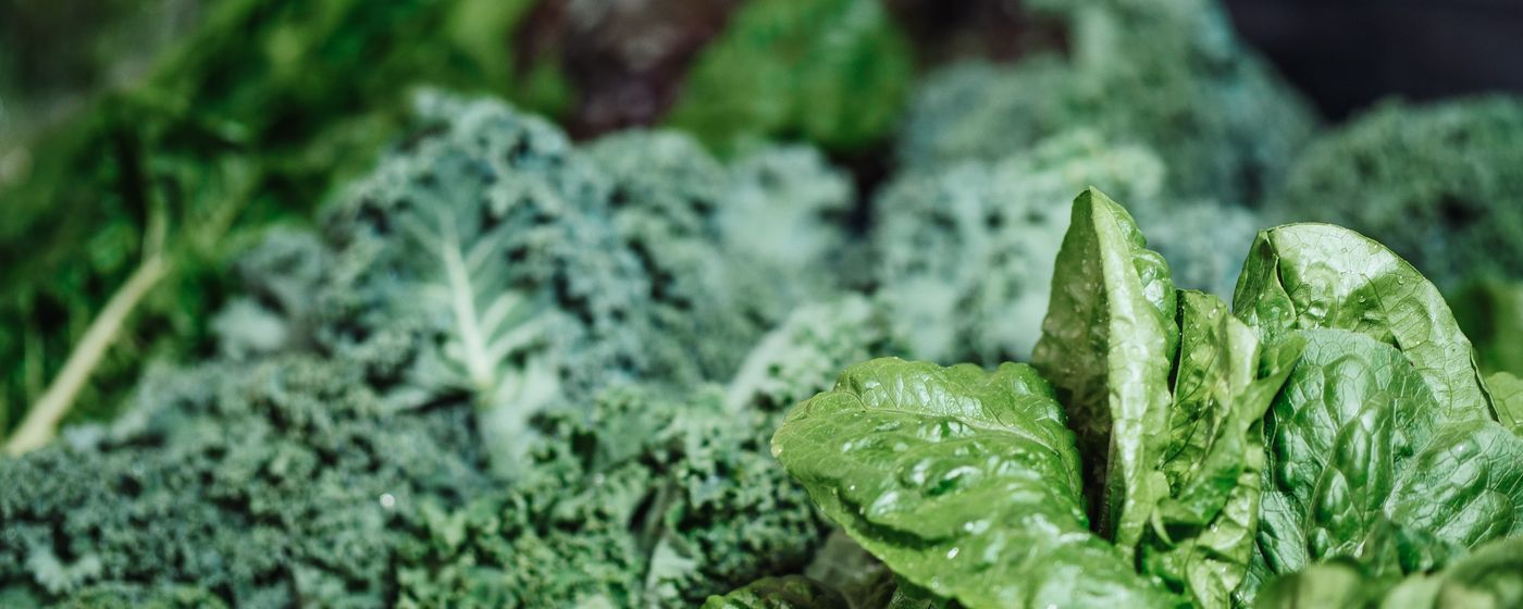 Fresh kale and spinach leaves photographed close up.
