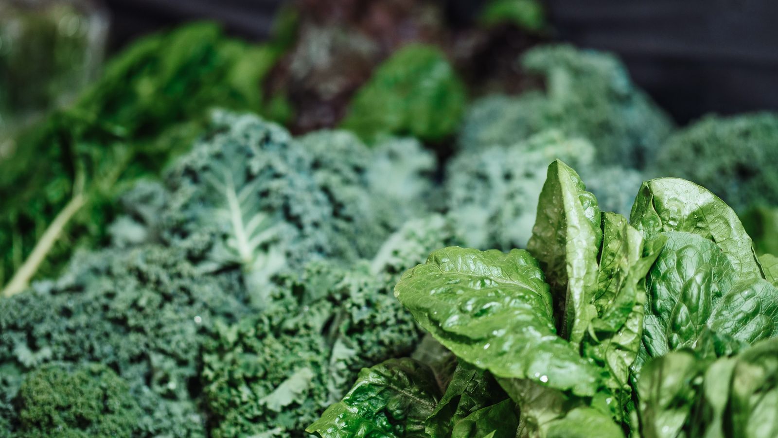 Fresh kale, spinach and romaine leaves stacked at a market stall