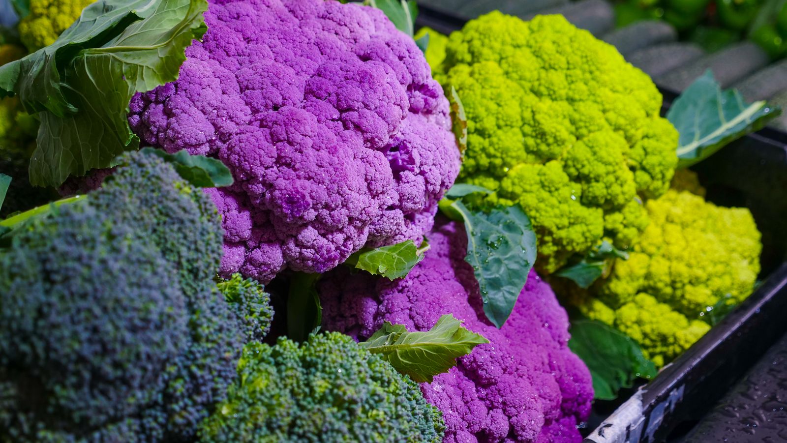 Crates of fresh broccoli, purple cauliflower and romanesco at a market stall