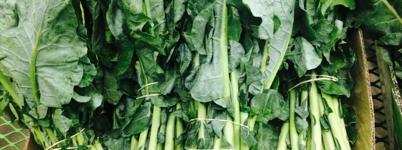 Bunches of fresh leafy greens