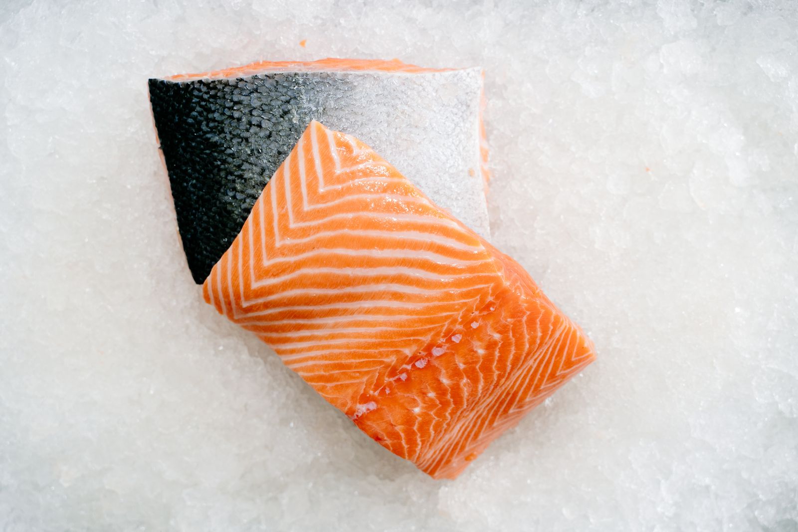 Two raw salmon fillets resting on crushed ice