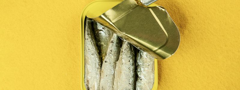 An open can of sardines viewed from above on a bright yellow background