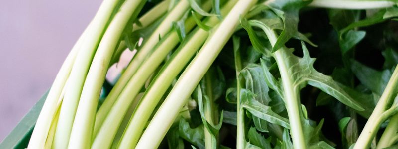 Fresh green leafy vegetables in a basket